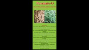 Препарат для защиты растений от солнца Пуршат О
