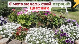 С чего начать свой первый цветник.?