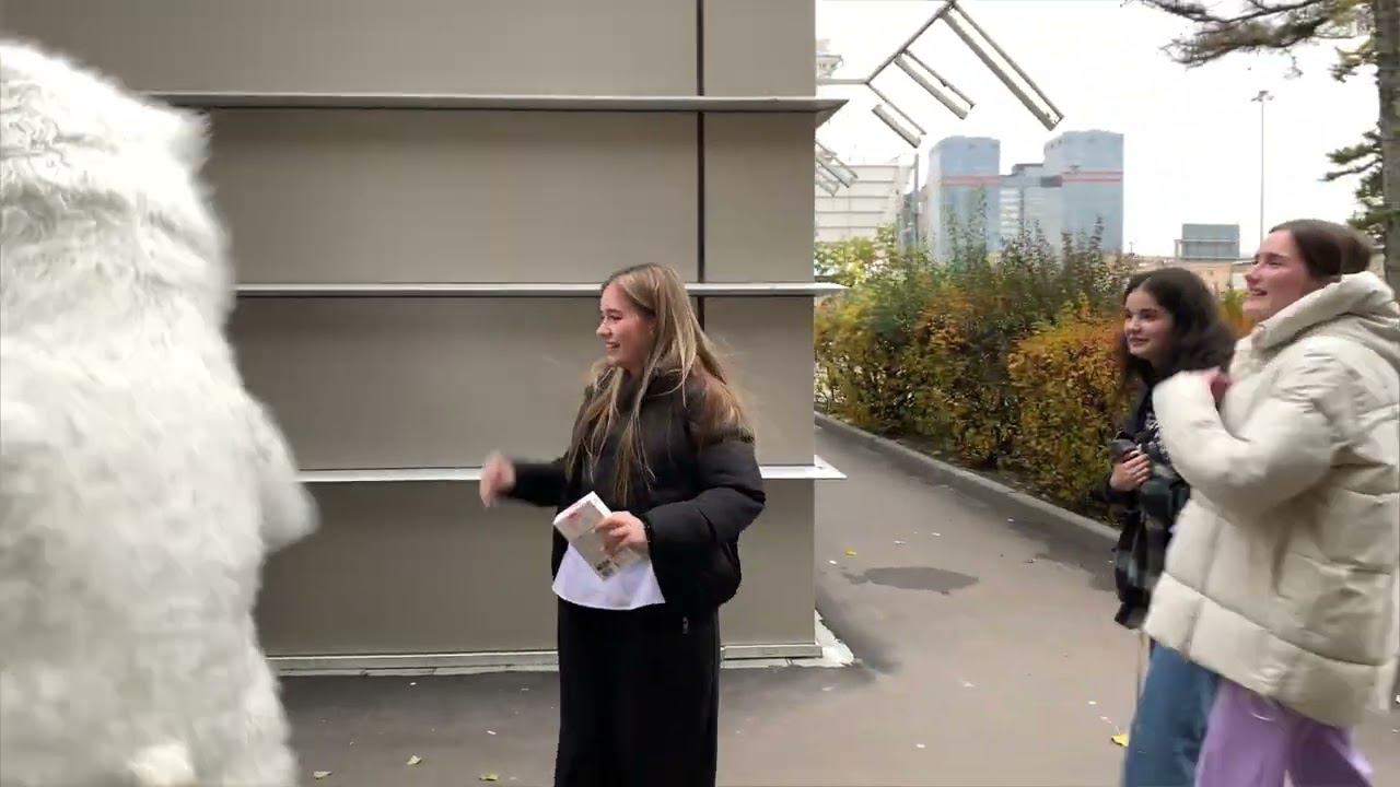 Подарок от папы | поздравление белого медведя