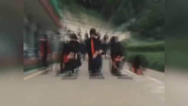 Безумная Япония , ШКОЛЬНИЦЫ БАНДИТКИ , АНИМЕ,  МАФИЯ