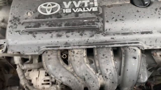 Разборка Toyota - Corolla E12 2001-2006, 1.6 (VIN: SB1KZ28EX0E080988) SL04ZCY смотреть онлайн