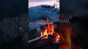 Хороших, добрых чаще предают....