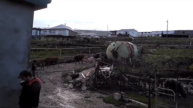 О ходе строительства квартальной мечети в "жего авале" .18-06-2018 смотреть онлайн