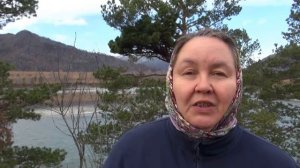 АНОМАЛИЯ РАЗВИТИЯ СОСНЫ || Ведьмина метла, хвойные метаморфозы