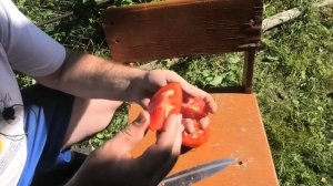 ? Томат Наставник F1 | Новый гибрид от вятской селекции