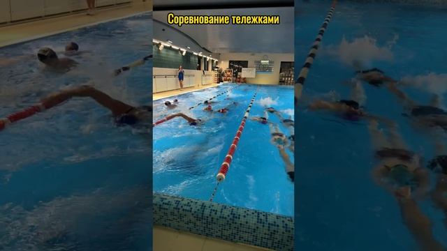 Соревнование тележек