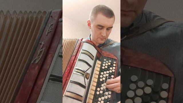 Голубые береты - Синева (cover на баяне) смотреть онлайн