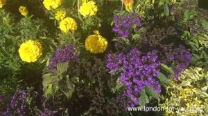 Выпуск 296 Поместье Ротшильдов // Waddesdon Manor