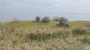 малое Яровое 12.08.2022 часть 3