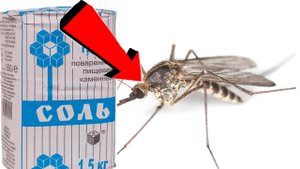 Как быстро избавиться от комаров за 3 Секунды!!!!!!!.
