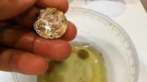 Чистка Монет Лимонная Кислота