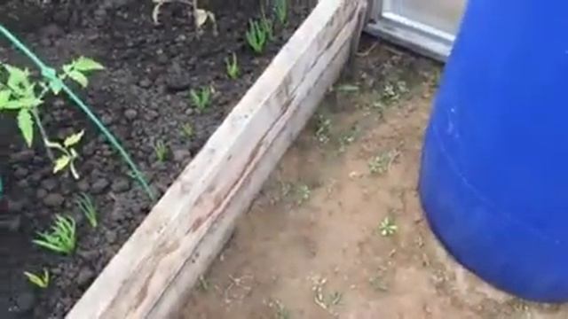 Отзывы о питомниках «Сады Эдема”, “Сады Урала” смотреть онлайн