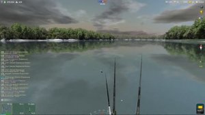 Неон золотополосый 72 грамма, игра Трофейная рыбалка 2, река Амазонка, локация Пирарука