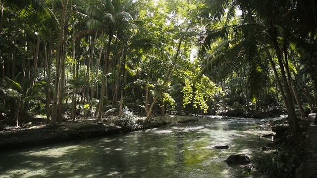 Crystal Forest Meditation A guided meditation journey смотреть онлайн