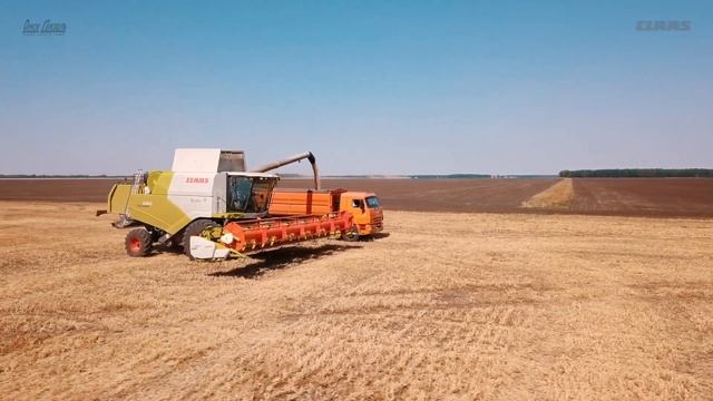 Уборка гороха комбайном CLAAS TUCANO смотреть онлайн