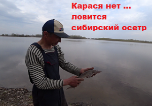 Рыбалка в Нижневартовске 14 мая 2022г.
