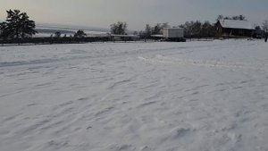 Условия содержания бычков под навесом | Обзор быков на цепи