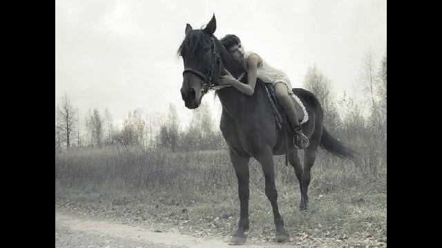 Конный двор "Киселёво"
