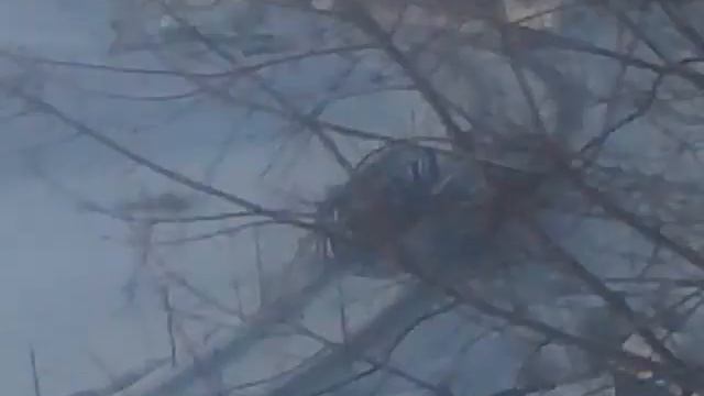 миньяр с высоты