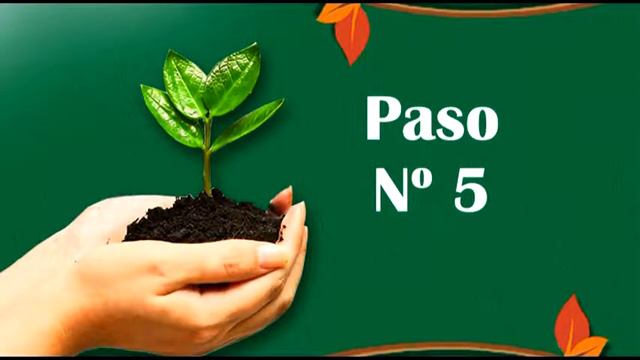 TIPS - PROPAGACIÓN DE PLANTAS CROTO LLUVIA DE ORO смотреть онлайн