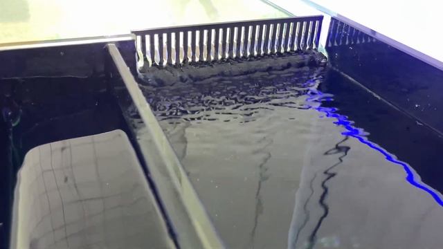 Морской аквариум с задним сампом. Cамп под полноразмерный пенник.