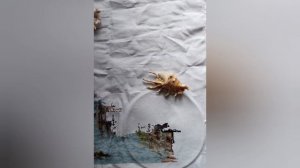 "Морской рай" вышивка