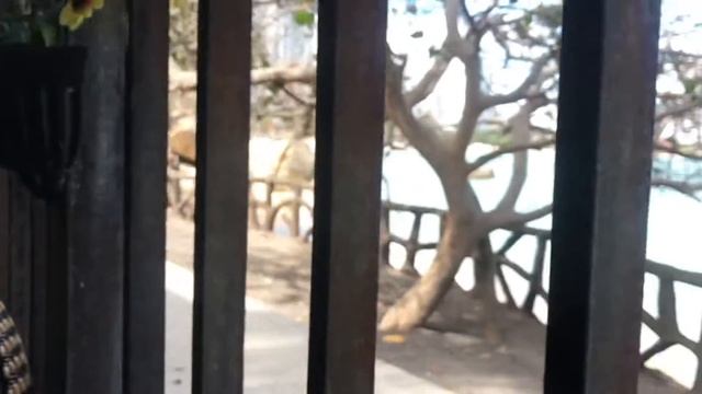 ДАЮ ВАМ СУТКИ НА РАЗМЫШЛЕНИЯ смотреть онлайн