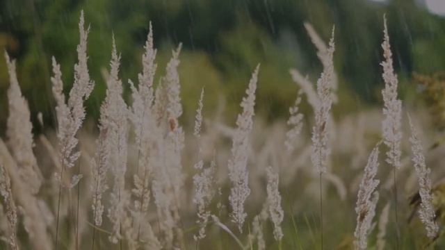 музыка перед СНОМ для УСПОКОЕНИЯ, ГАРМОНИИ, ХОРОШЕГО НАСТРОЕНИЯ, cлушать перед сном смотреть онлайн