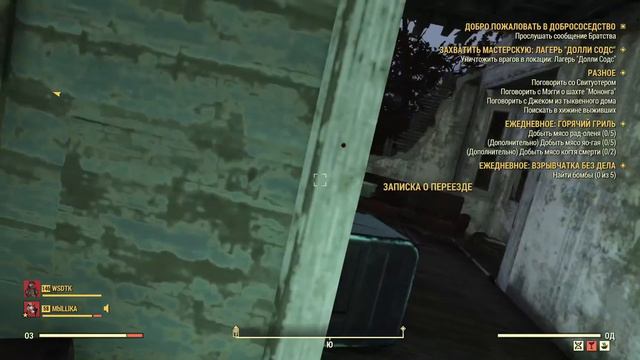 Против мутантов) или просто КОШКА на прогулке) Fallout 76