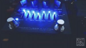 Darkglass Microtubes X Ultra + Archetype: Nolly | Neural DSP | Original Song Demo