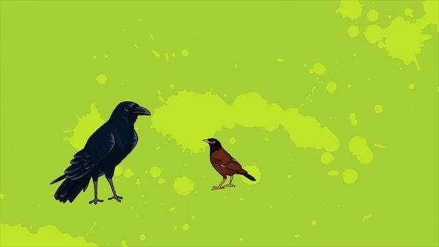 Почему попугаи разговаривают? - Профессор Почемушкин смотреть онлайн