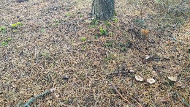 Всё интересно | Наши красивые места. Осень 2021 смотреть онлайн