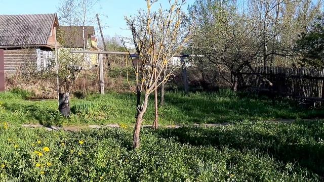 ДАЧА СТАЛКЕРА.ЧАСТЬ ТРЕТЬЯ. смотреть онлайн