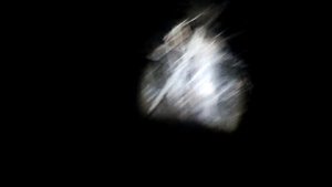 Охота с лайкой на барсука