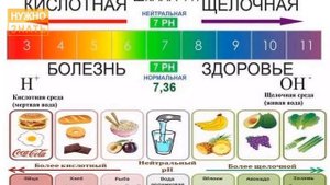 Почему нельзя есть огурцы и помидоры вместе. Овощи антагонисты.