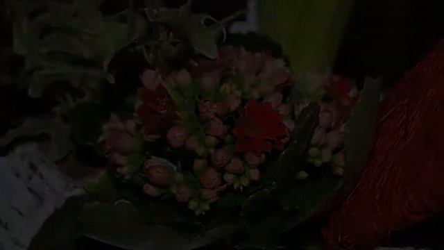 Olympus E 420 Sample photos смотреть онлайн