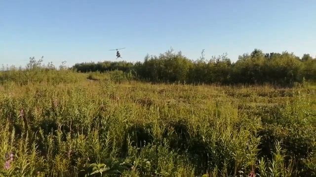 Джидж кай 2023 смотреть онлайн