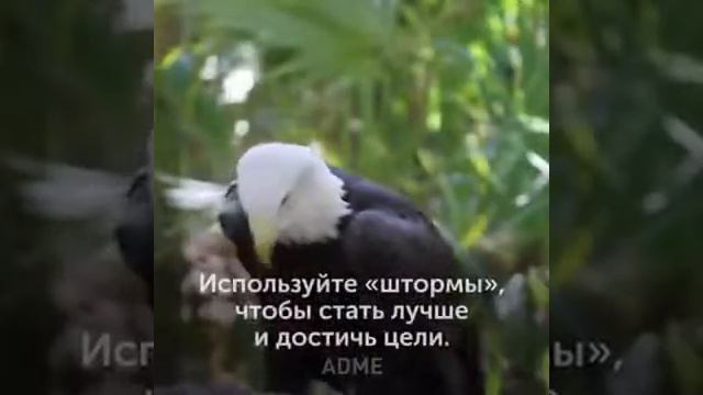 #Установка на 2019 год! смотреть онлайн