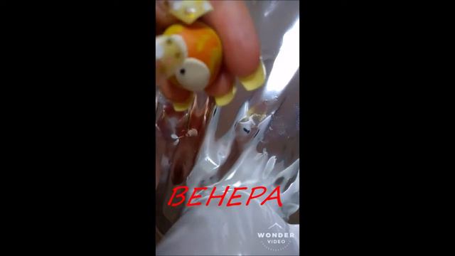 #ВоспитаниеОнЛайн Евсеева Е В  "ВеСеЛаЯ СоЛнЕчНаЯ СиСтЕмА"