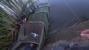 Снасть из детства. Ловля карася на закидушку (донку с резинкой).  Июль 2020