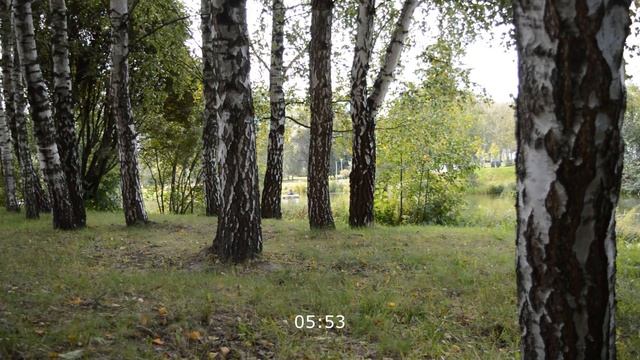 КОГО ЖЕ ВЫБРАТЬ - ЖЕНА НЕ ЗНАЕТ. Интересные истории из жизни, аудио рассказы. Жизненные истории смотреть онлайн