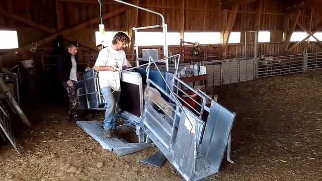 Станок фиксации для овец и коз при ветеринарной обработке животных от компании Javier Camara смотреть онлайн