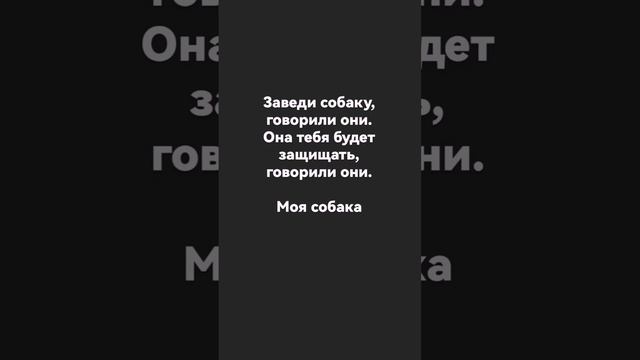 ДомашниеПитомцы и СмешныеВидео