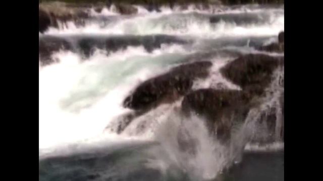 40 Years of ULKC смотреть онлайн