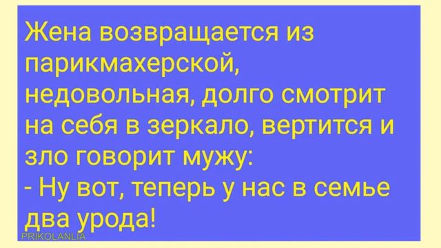 АНЕКДОТ ДНЯ 549 - О мужиках и умных бабах Анекдоты с бородой Лучшие приколы New jokes смотреть онлайн