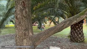 Пообщаемся об этом !!!