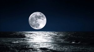 Chopin Classical Music for Studying, Concentration, Relaxation | Study Music | Piano Instrumental