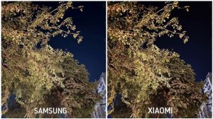 Samsung Galaxy S23 Plus vs Xiaomi 13 Pro Night Mode Camera Test