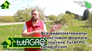 СЛИВА ЦВЕТЁТ, А УРОЖАЯ НЕТ! ЧЕМ ОБРАБОТАТЬ САД ВЕСНОЙ. ЗАЩИТА САДА и ОГОРОДА от ЗАМОРОЗКОВ и ХОЛОДА
