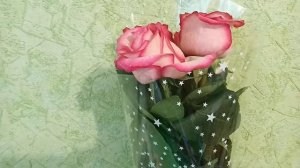 Что подарить девочке на 5 лет Сходили на день рождения Сезон заморозок открыт